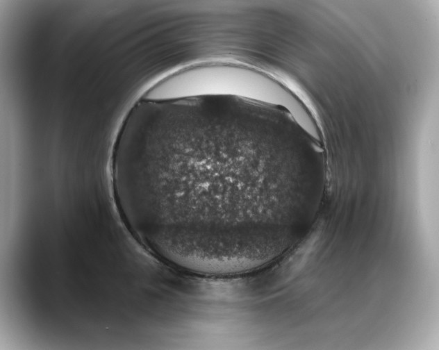 X0000088430951200706051227