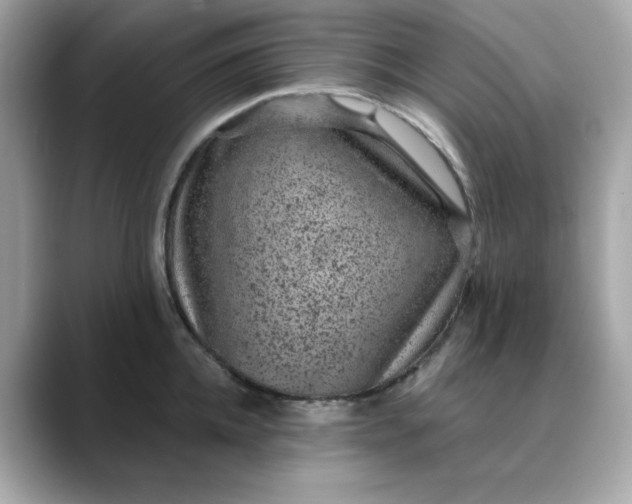 X0000088430952200706051227