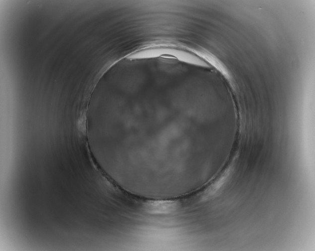 X0000088430953200706051228