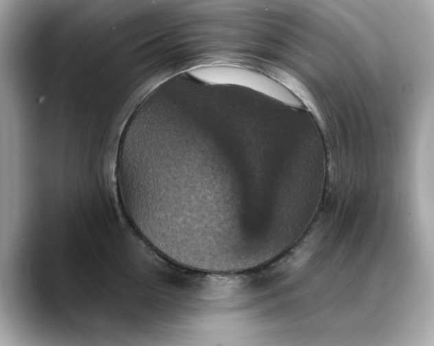 X0000088430954200706051228