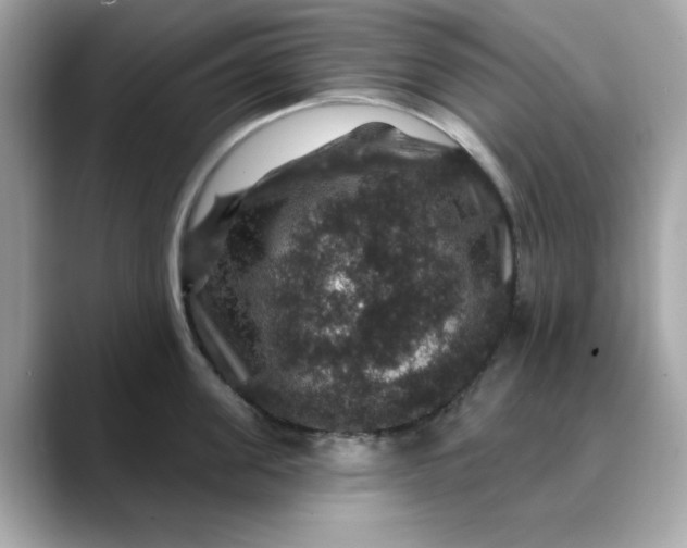 X0000088430955200706051228