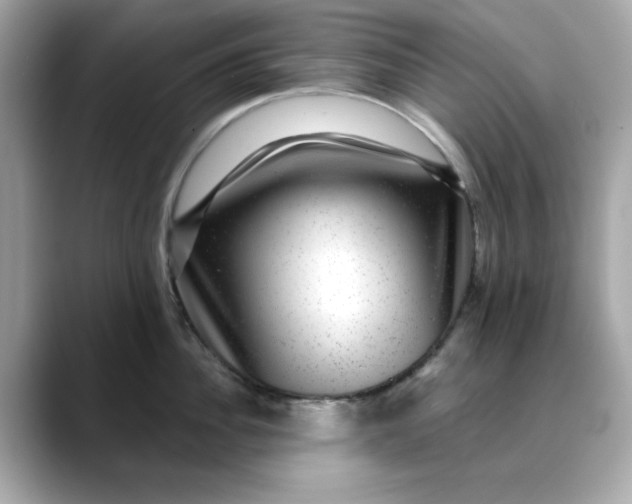 X0000088430956200706051228