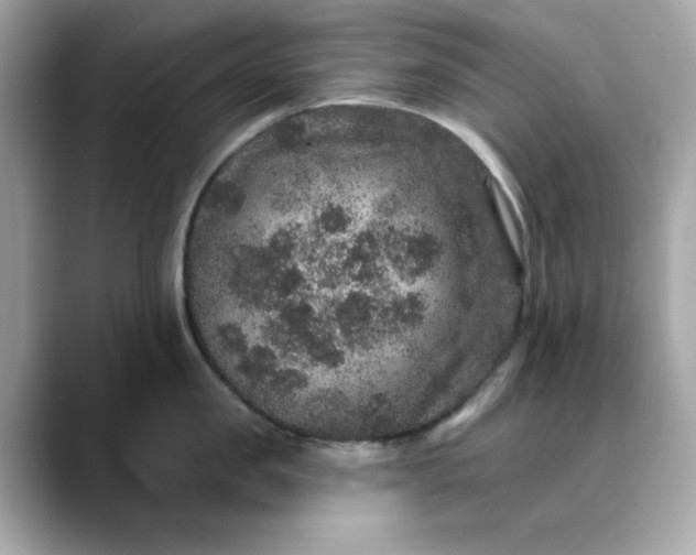 X0000088430957200706051228