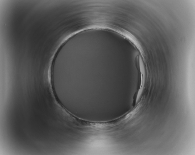 X0000088430958200706051228