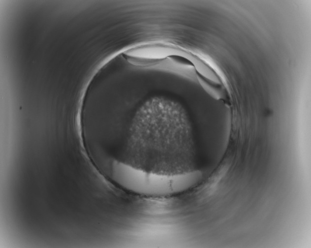 X0000088430959200706051228