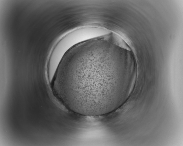 X0000088430960200706051228