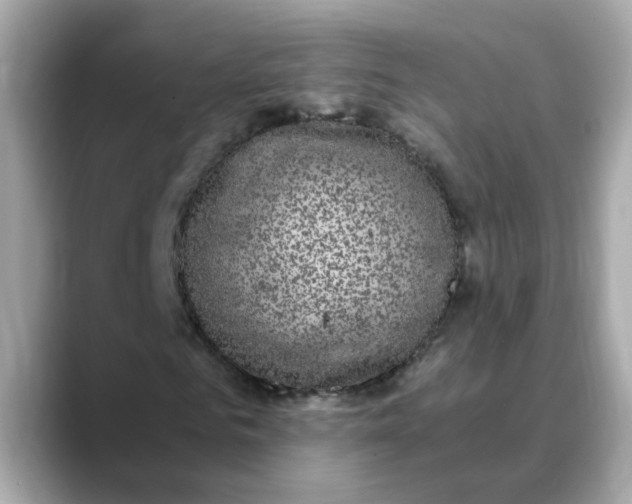 X0000088430961200706051227