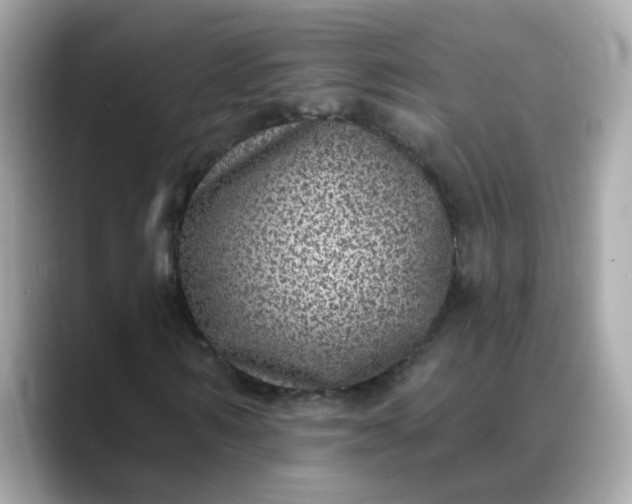 X0000088430962200706051227