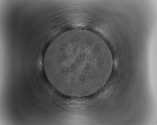 X0000088430963200706051227