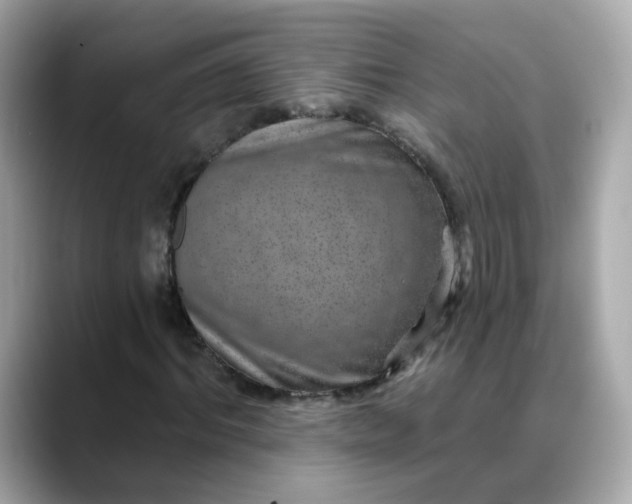 X0000088430964200706051227