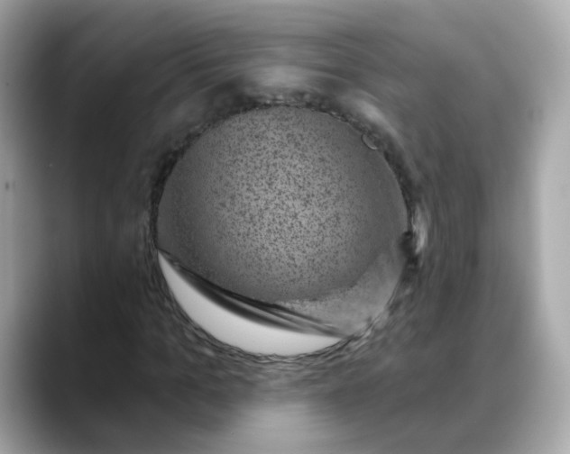 X0000088430965200706051227