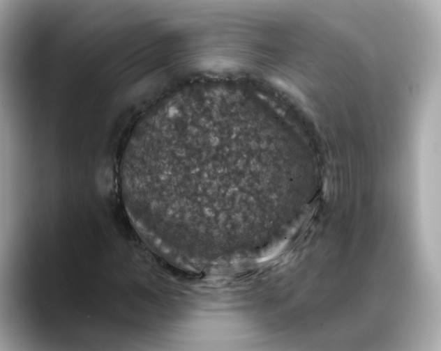 X0000088430966200706051227