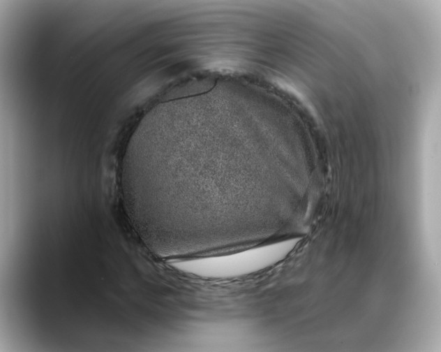 X0000088430968200706051227