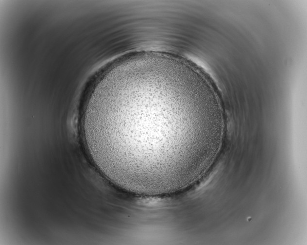 X0000088430971200706051227