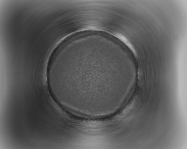 X0000088430972200706051227