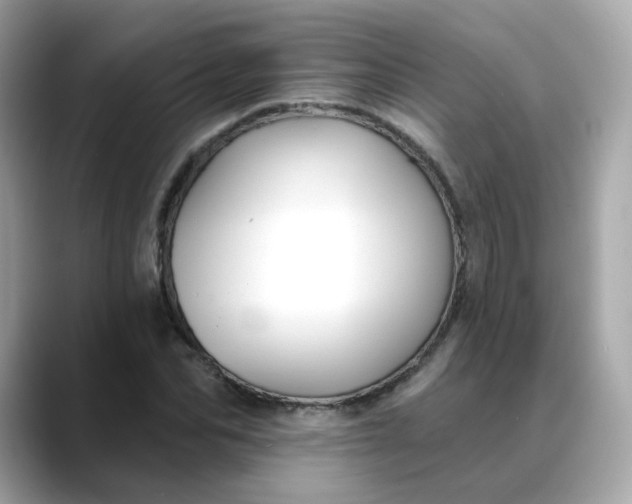 X0000088430974200706051227