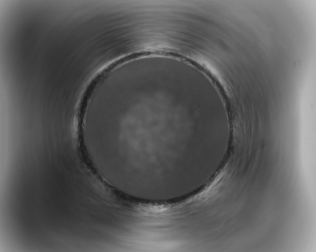 X0000088430975200706051227