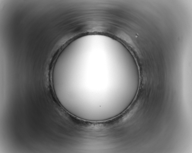 X0000088430978200706051227