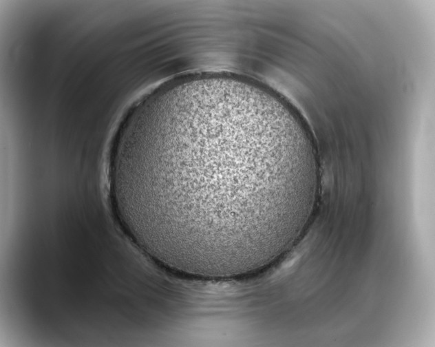 X0000088430979200706051227