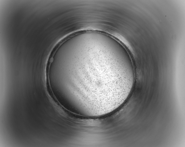 X0000088430980200706051227