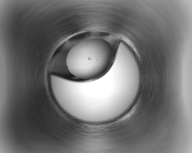 X0000088430981200706051227