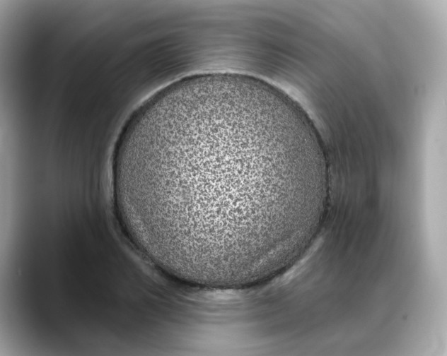 X0000088430982200706051227