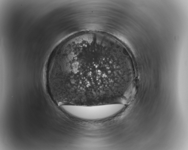 X0000088430983200706051227