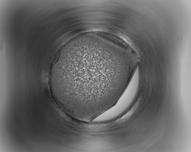 X0000088430985200706051227