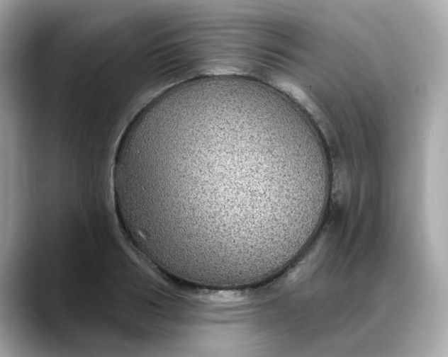 X0000088430986200706051227