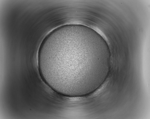 X0000088430988200706051227