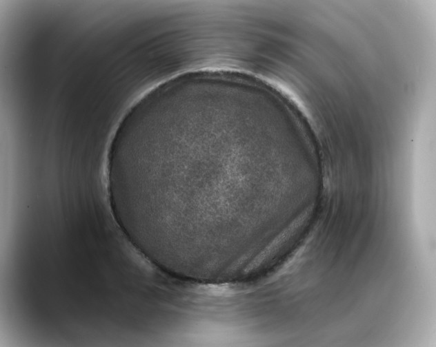 X0000088430990200706051227