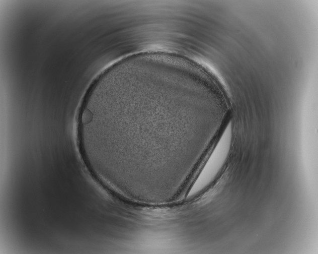 X0000088430991200706051227