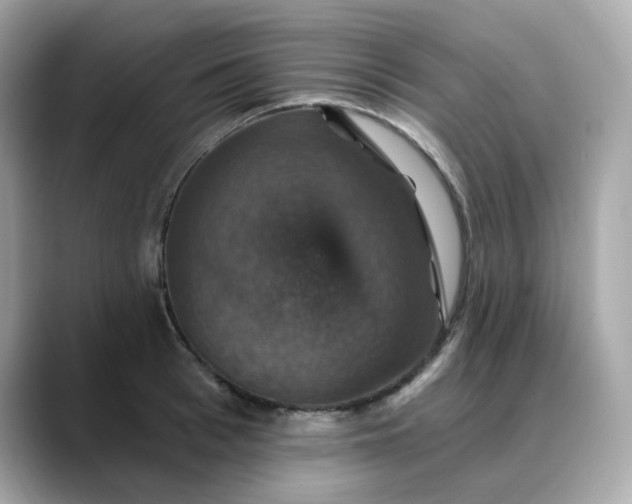 X0000088430993200706051227