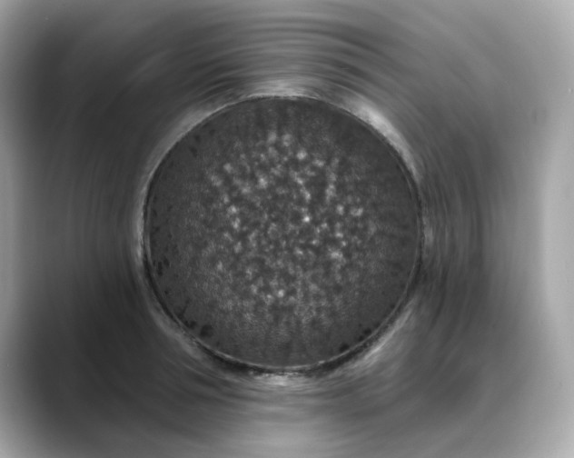 X0000088430994200706051227