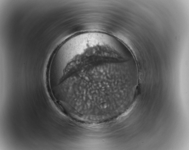 X0000088430995200706051227