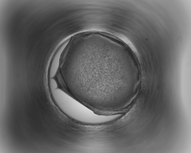 X0000088430996200706051227