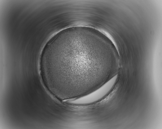 X0000088430997200706051227