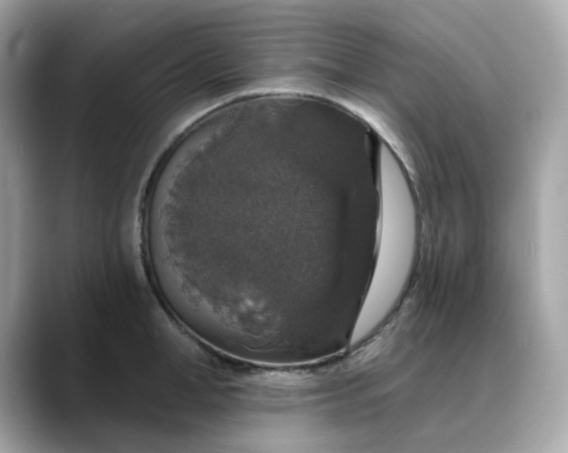 X0000088430998200706051227