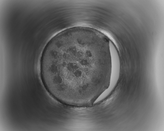 X0000088430999200706051227