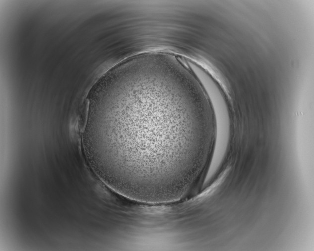 X0000088431001200706051227