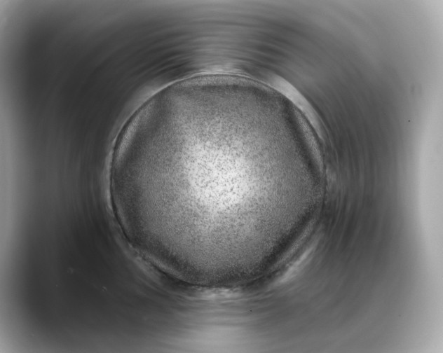 X0000088431002200706051227