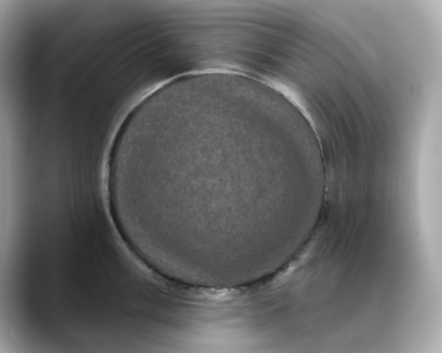 X0000088431003200706051227