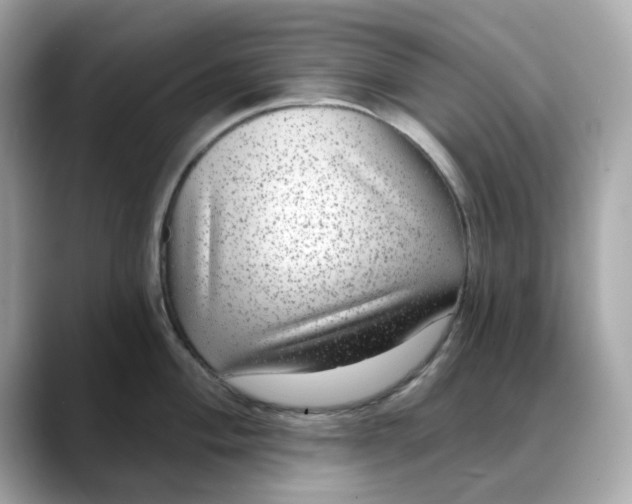 X0000088431004200706051227