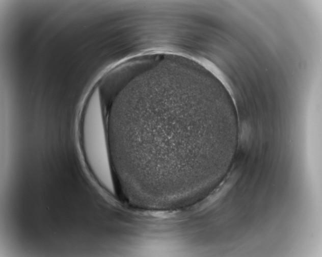 X0000088431005200706051227