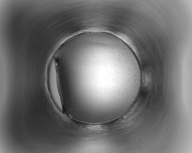 X0000088431006200706051227