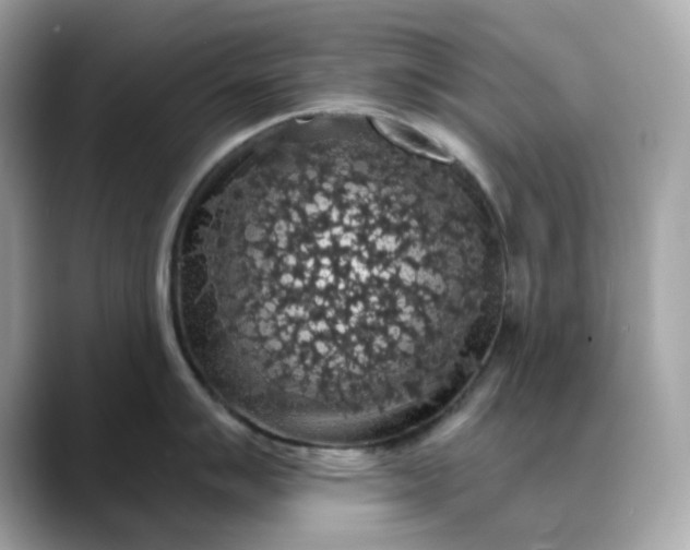 X0000088431007200706051226