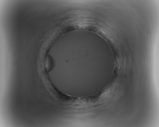 X0000088431009200706051226