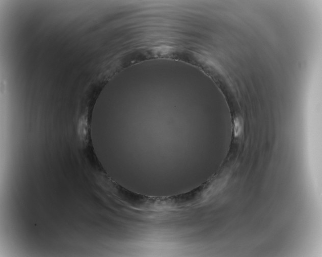 X0000088431011200706051226