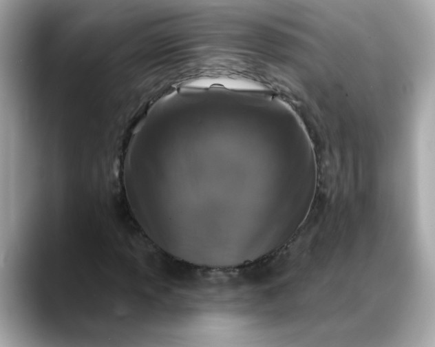 X0000088431013200706051226