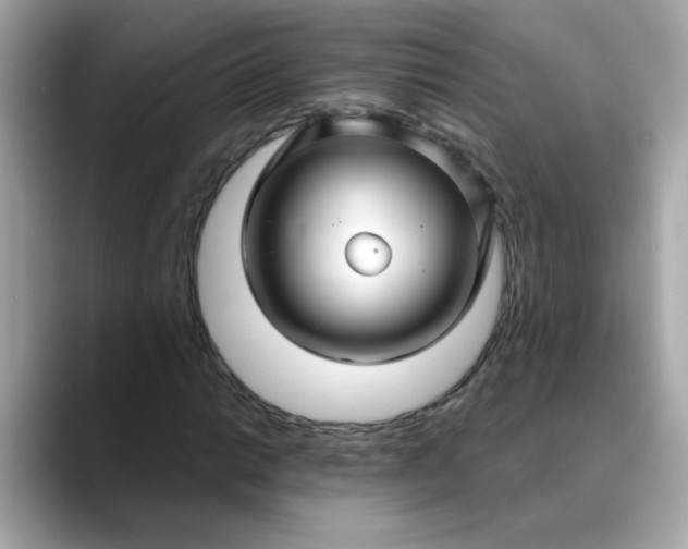 X0000088431014200706051226